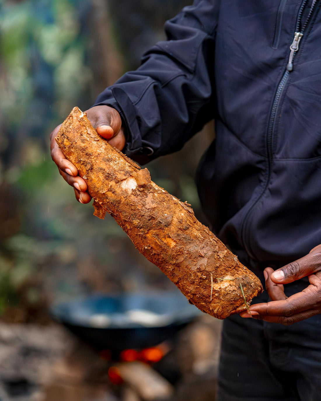Tu manges peut-être déjà du cassava sans le savoir
