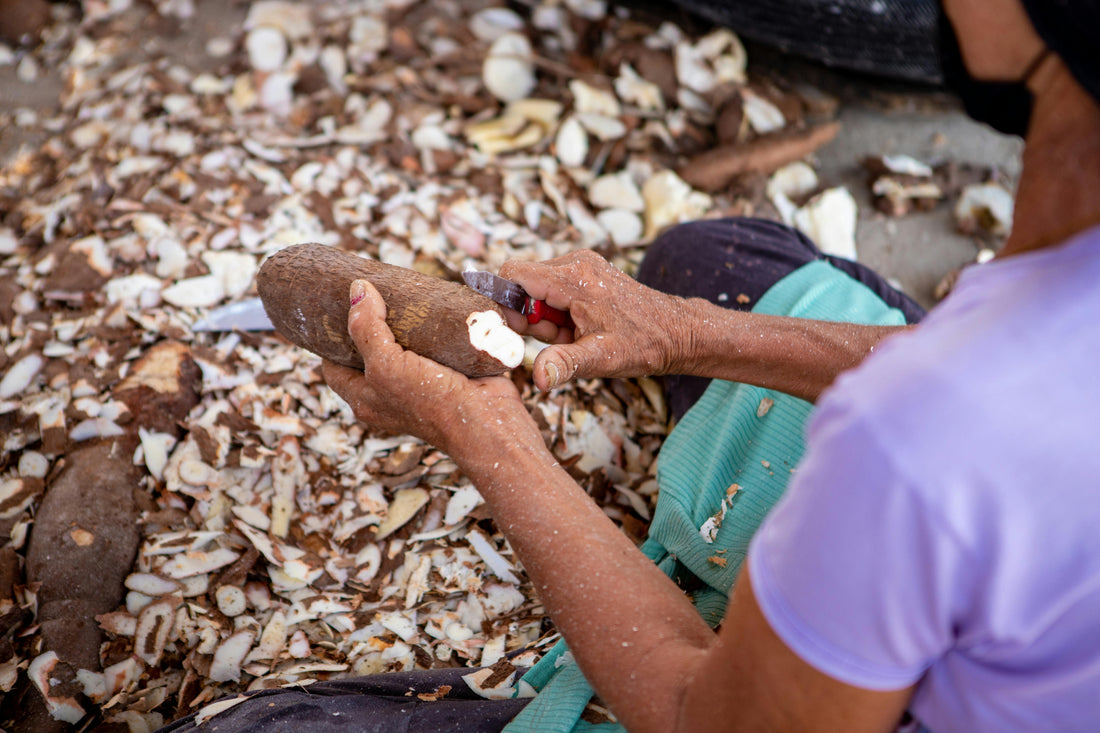 Tu manges peut-être déjà du manioc sans le savoir